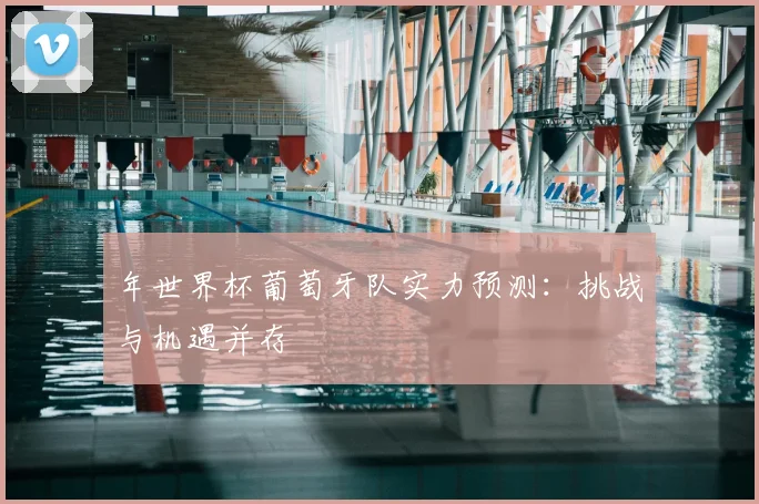 年世界杯葡萄牙队实力预测:挑战与机遇并存