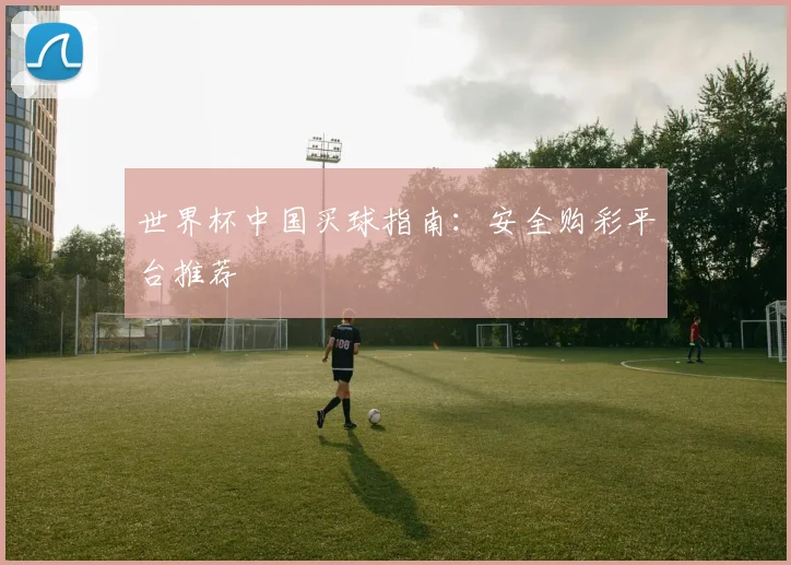 世界杯中国买球指南：安全购彩平台推荐