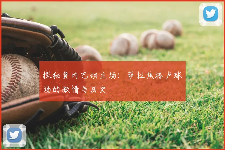 探秘费内巴切主场：萨拉焦格卢球场的激情与历史