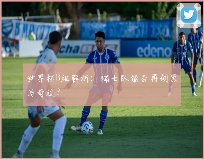 世界杯B组解析：瑞士队能否再创黑马奇迹？